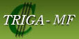 Logo - TRIGA - MF společnost s ručením omezeným